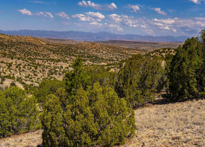 134 Goldmine, Cerrillos, New Mexico 87010, ,Residential Land,For Sale,Goldmine,202102330