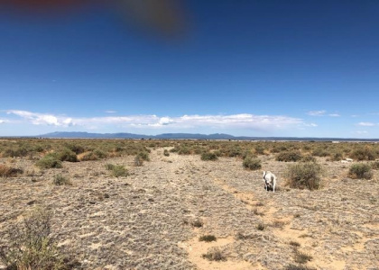 56 Burroughs Road, McIntosh, New Mexico 87035, ,Residential Land,For Sale,Burroughs Road,202102432