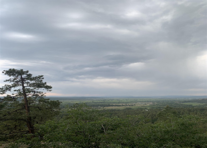 TBD Ticonderoga Dr, Chama, New Mexico 87520, ,Residential Land,For Sale,Ticonderoga Dr,202102563