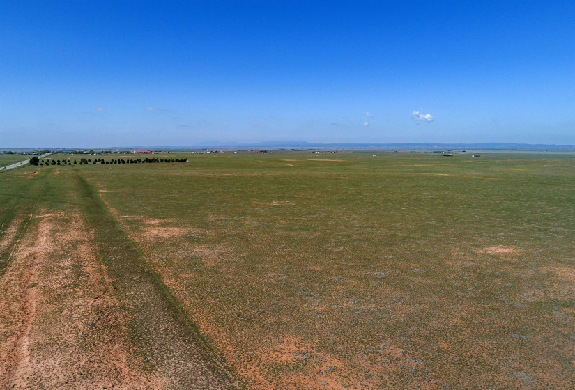 130 Judy Kay Rd, Stanley, New Mexico 87056, ,Farm And Ranch,For Sale,Judy Kay Rd,202105152