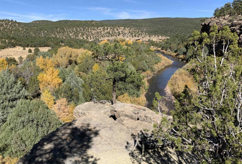 Los Trigos Ranch, Rowe, New Mexico 87562, ,Farm And Ranch,For Sale,Ranch,202201033