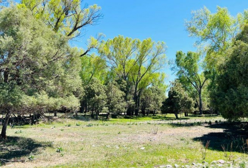 TBD Abeyta Tract, Chama, New Mexico 87520, ,Farm And Ranch,For Sale,Abeyta Tract,202201878