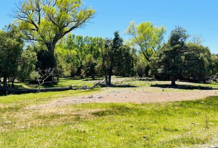 TBD Abeyta Tract, Chama, New Mexico 87520, ,Farm And Ranch,For Sale,Abeyta Tract,202201878