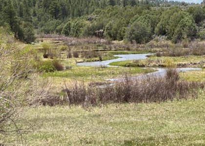 17306 US Highway 64/84, Tierra Amarilla, New Mexico 87575, ,Farm And Ranch,For Sale,US Highway 64/84,202201951