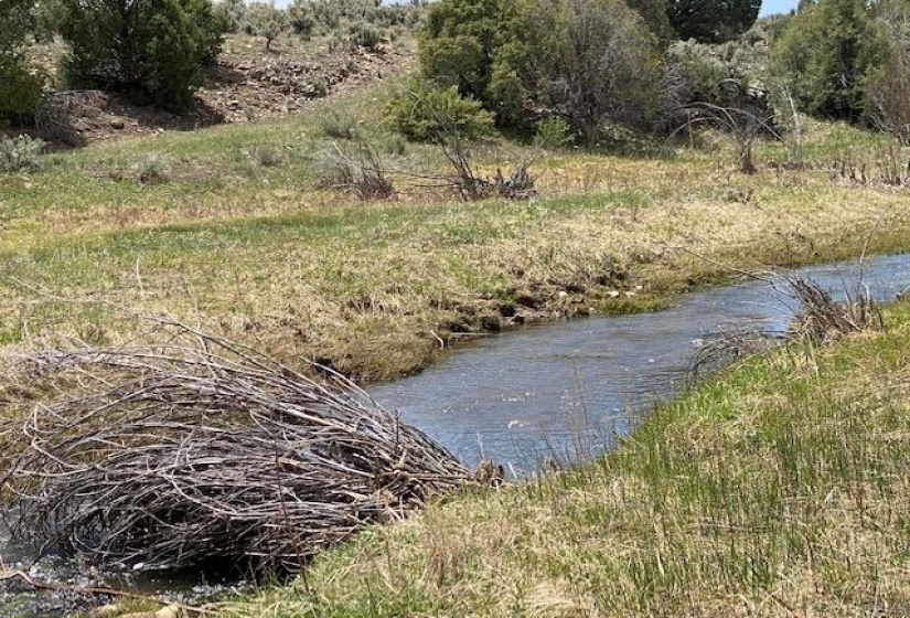 17306 US Highway 64/84, Tierra Amarilla, New Mexico 87575, ,Farm And Ranch,For Sale,US Highway 64/84,202201951