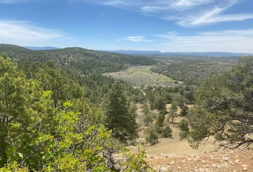 17306 US Highway 64/84, Tierra Amarilla, New Mexico 87575, ,Farm And Ranch,For Sale,US Highway 64/84,202201951