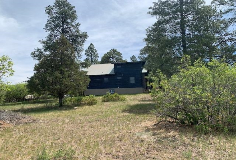 4271 Choke Cherry Lane, Chama, New Mexico 87520, 3 Bedrooms Bedrooms, ,2 BathroomsBathrooms,Residential,For Sale,Choke Cherry Lane,202202130