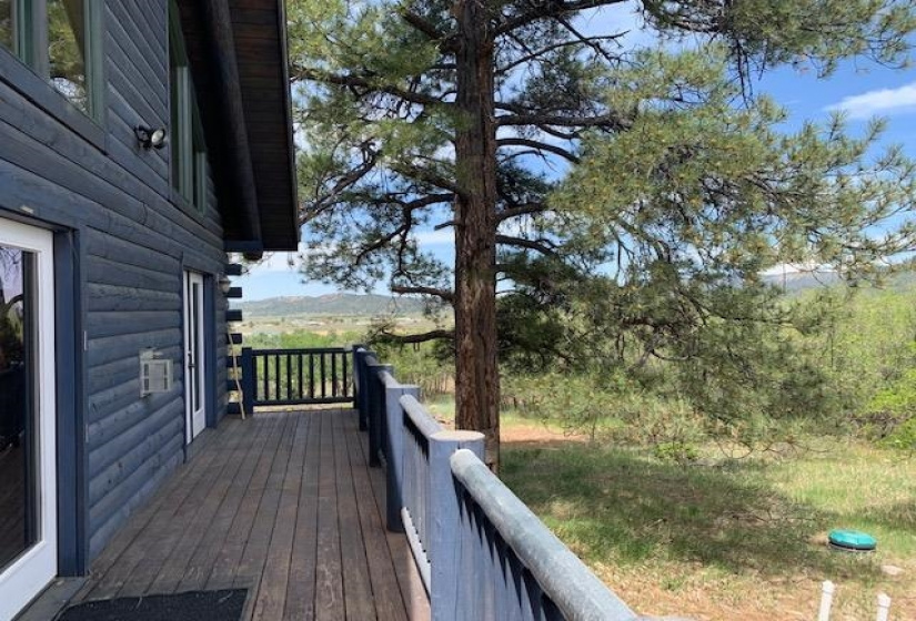 4271 Choke Cherry Lane, Chama, New Mexico 87520, 3 Bedrooms Bedrooms, ,2 BathroomsBathrooms,Residential,For Sale,Choke Cherry Lane,202202130