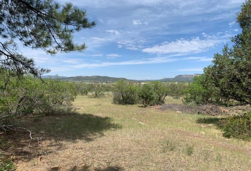 4271 Choke Cherry Lane, Chama, New Mexico 87520, 3 Bedrooms Bedrooms, ,2 BathroomsBathrooms,Residential,For Sale,Choke Cherry Lane,202202130