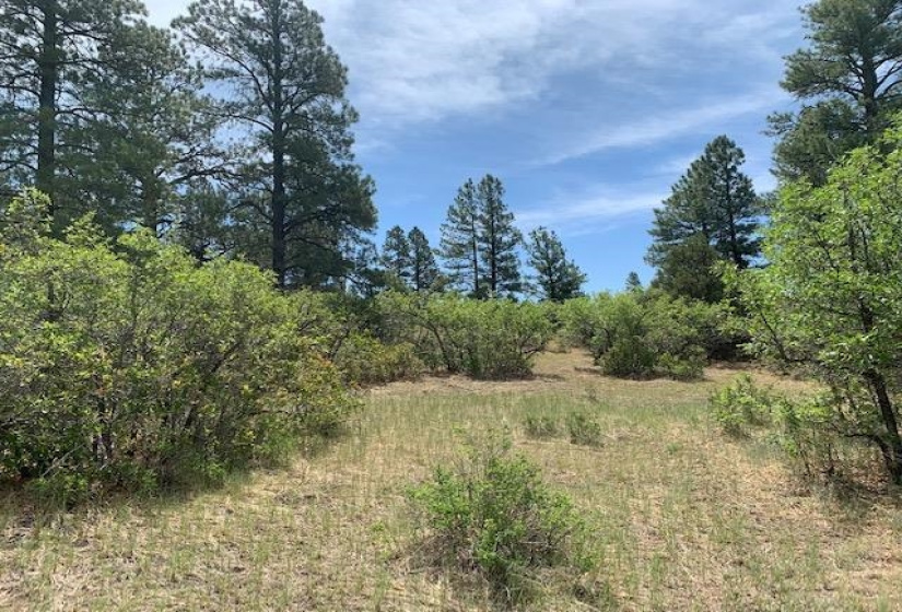 4271 Choke Cherry Lane, Chama, New Mexico 87520, 3 Bedrooms Bedrooms, ,2 BathroomsBathrooms,Residential,For Sale,Choke Cherry Lane,202202130