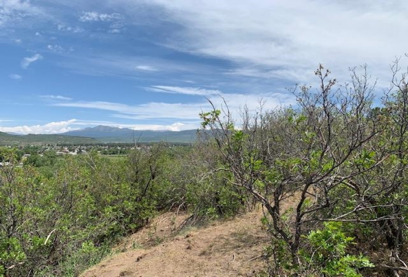 4271 Choke Cherry Lane, Chama, New Mexico 87520, 3 Bedrooms Bedrooms, ,2 BathroomsBathrooms,Residential,For Sale,Choke Cherry Lane,202202130