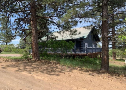 4271 Choke Cherry Lane, Chama, New Mexico 87520, 3 Bedrooms Bedrooms, ,2 BathroomsBathrooms,Residential,For Sale,Choke Cherry Lane,202202130