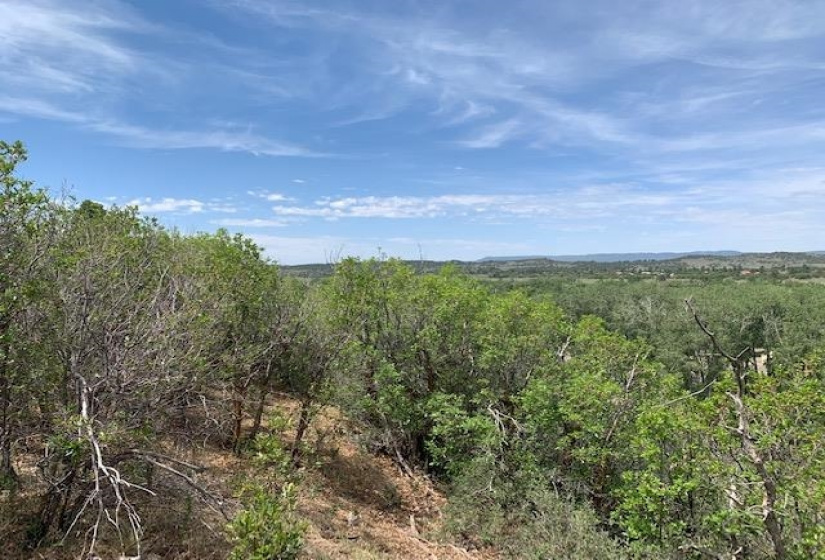 4271 Choke Cherry Lane, Chama, New Mexico 87520, 3 Bedrooms Bedrooms, ,2 BathroomsBathrooms,Residential,For Sale,Choke Cherry Lane,202202130