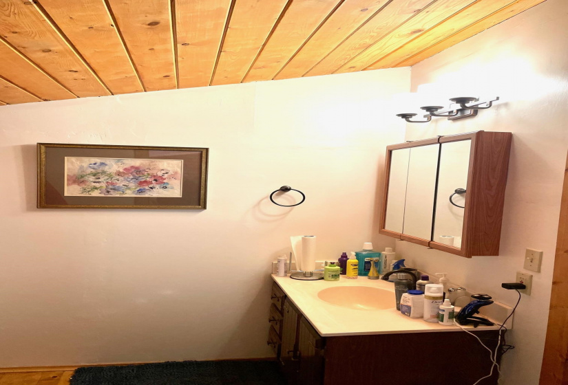12 Private Drive 1754A, Tierra Amarilla, New Mexico 87575, 3 Bedrooms Bedrooms, ,2 BathroomsBathrooms,Residential,For Sale,Private Drive 1754A,202202136