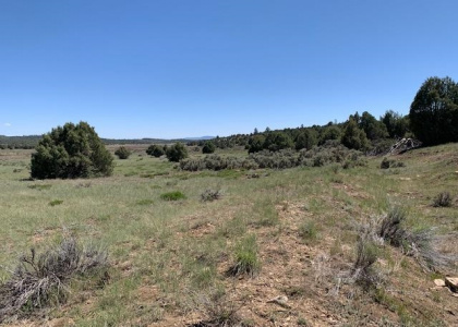 TBD Shroyer, Rutheron, New Mexico 87551, ,Residential Land,For Sale,Shroyer,202201925