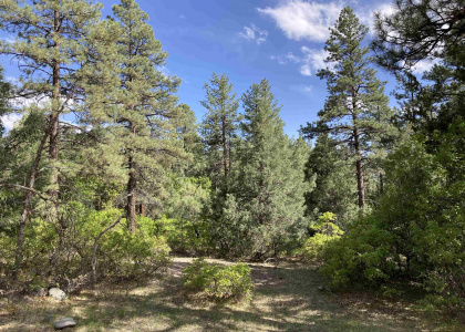 TBD Blk 3 Lot 6, Chama, New Mexico 87520, ,Residential Land,For Sale,Blk 3 Lot 6,202201959