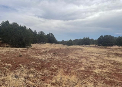 Lot 5 Rancho Romero, Ojo De La Vaca, New Mexico 87508, ,Residential Land,For Sale,Rancho Romero,202202096