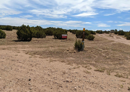 70 Flamingo Road, Ribera, New Mexico 87560, ,Residential Land,For Sale,Flamingo Road,202202371