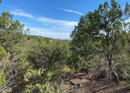 2900 Aspen View, Lot 184, Santa Fe, New Mexico 87506, ,Residential Land,For Sale,Aspen View, Lot 184,202202379