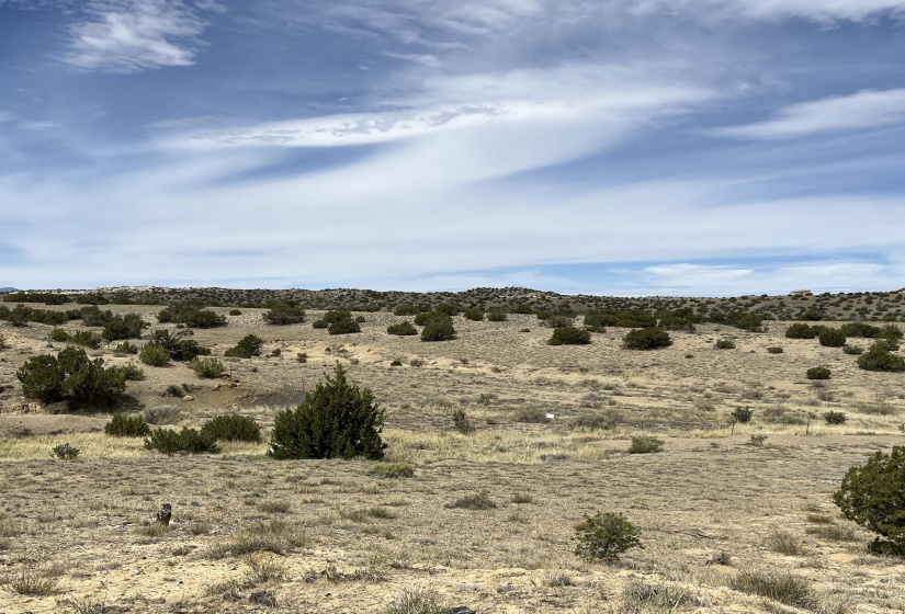 136 Via Sol Estrella, Cerrillos, New Mexico 87010, ,Residential Land,For Sale,Via Sol Estrella,202202409