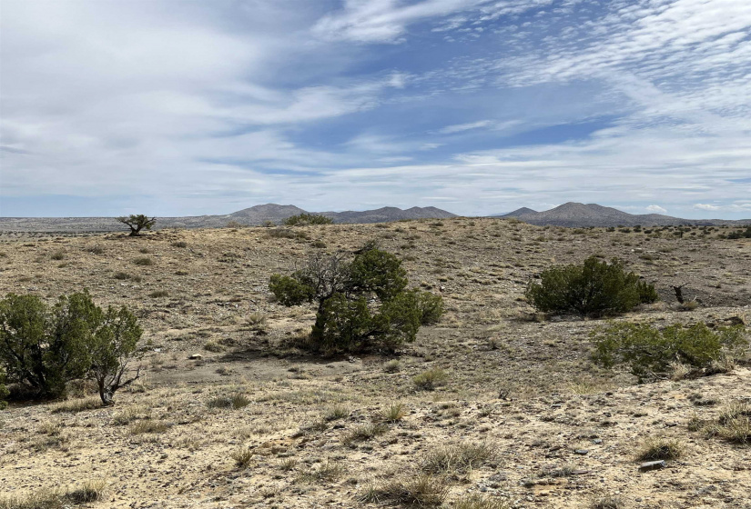 136 Via Sol Estrella, Cerrillos, New Mexico 87010, ,Residential Land,For Sale,Via Sol Estrella,202202409