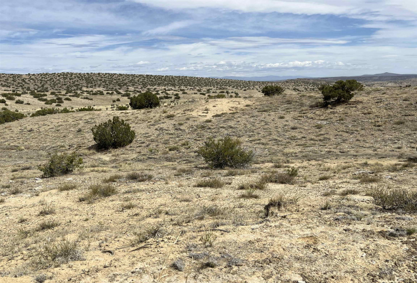 136 Via Sol Estrella, Cerrillos, New Mexico 87010, ,Residential Land,For Sale,Via Sol Estrella,202202409