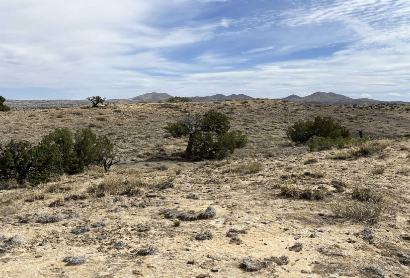 136 Via Sol Estrella, Cerrillos, New Mexico 87010, ,Residential Land,For Sale,Via Sol Estrella,202202409