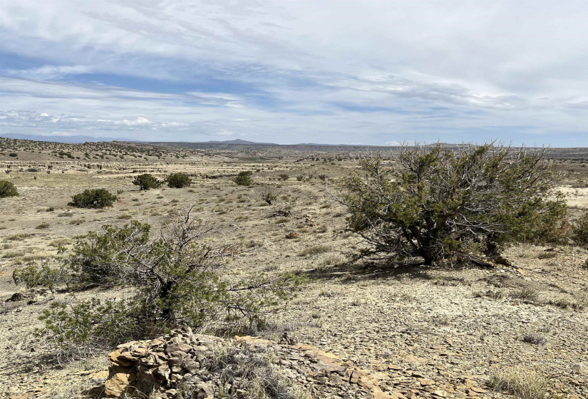 136 Via Sol Estrella, Cerrillos, New Mexico 87010, ,Residential Land,For Sale,Via Sol Estrella,202202409