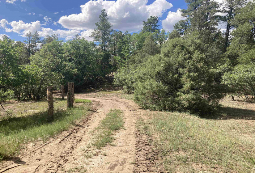 TBD Unit 7 Tract 104, Chama, New Mexico 87520, ,Residential Land,For Sale,Unit 7 Tract 104,202202423