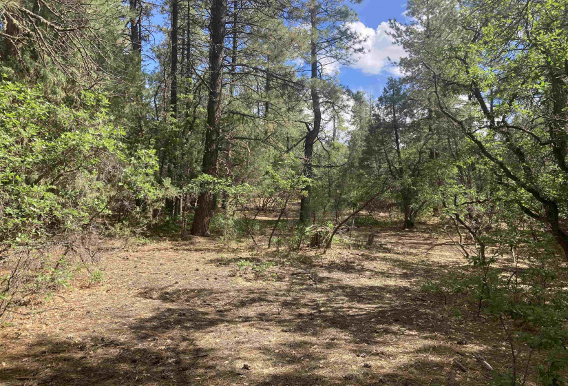 TBD Unit 7 Tract 104, Chama, New Mexico 87520, ,Residential Land,For Sale,Unit 7 Tract 104,202202423