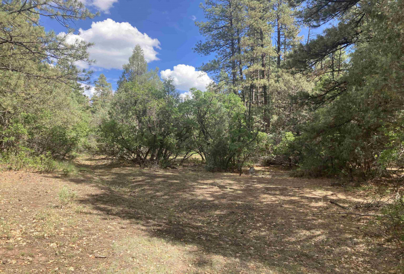 TBD Unit 7 Tract 104, Chama, New Mexico 87520, ,Residential Land,For Sale,Unit 7 Tract 104,202202423