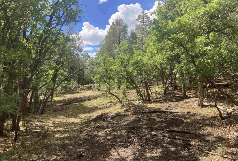 TBD Unit 7 Tract 104, Chama, New Mexico 87520, ,Residential Land,For Sale,Unit 7 Tract 104,202202423