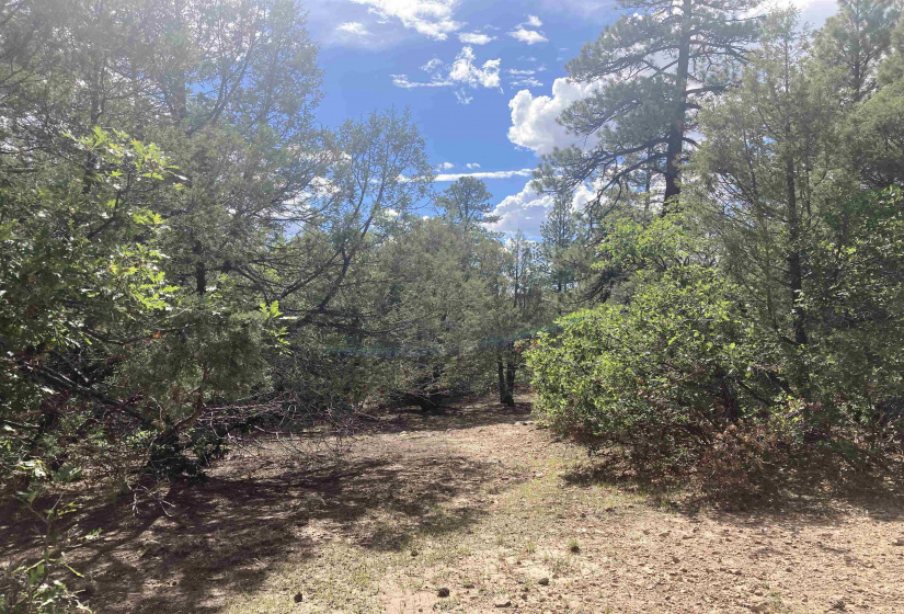 TBD Unit 7 Tract 104, Chama, New Mexico 87520, ,Residential Land,For Sale,Unit 7 Tract 104,202202423