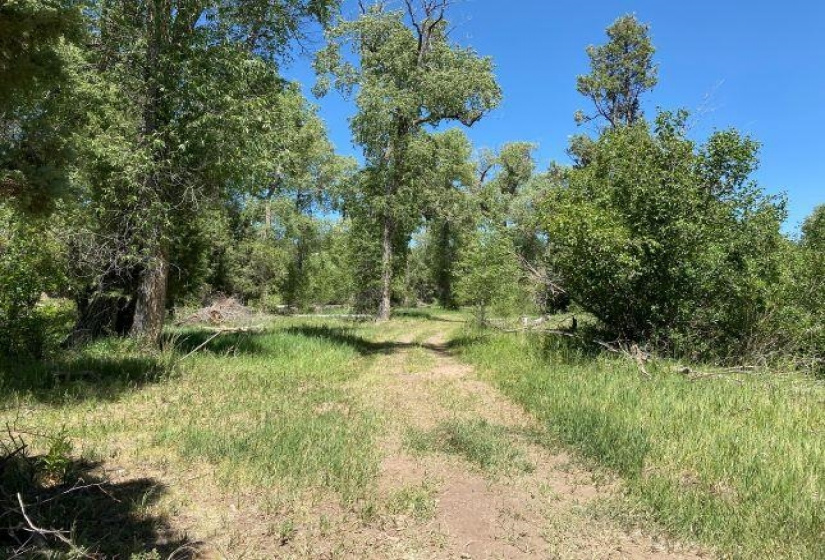 TBD Brazos, Chama, New Mexico 87520-9999, ,Residential Land,For Sale,Brazos,202202425