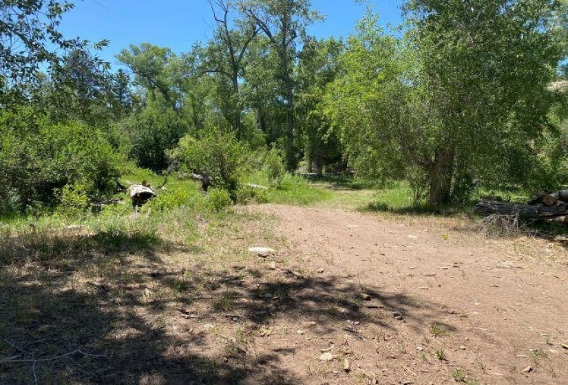 TBD Brazos, Chama, New Mexico 87520-9999, ,Residential Land,For Sale,Brazos,202202425