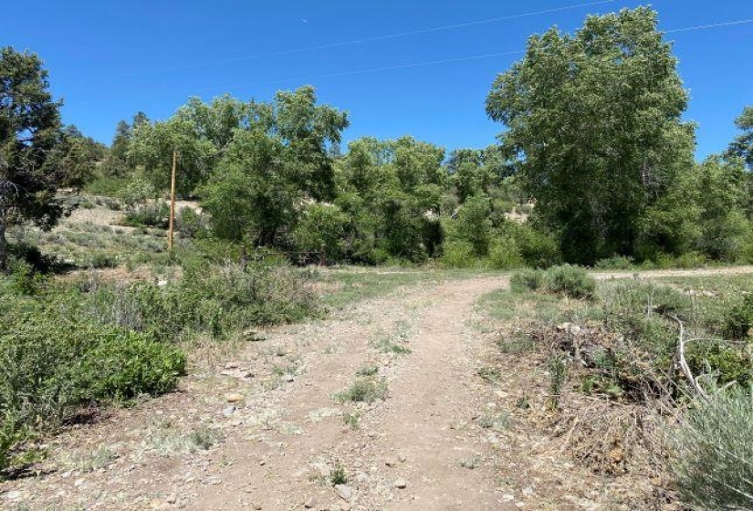 TBD Brazos, Chama, New Mexico 87520-9999, ,Residential Land,For Sale,Brazos,202202425