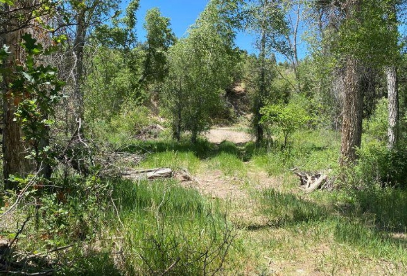 TBD Brazos, Chama, New Mexico 87520-9999, ,Residential Land,For Sale,Brazos,202202425