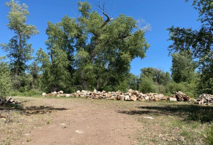 TBD Brazos, Chama, New Mexico 87520-9999, ,Residential Land,For Sale,Brazos,202202425