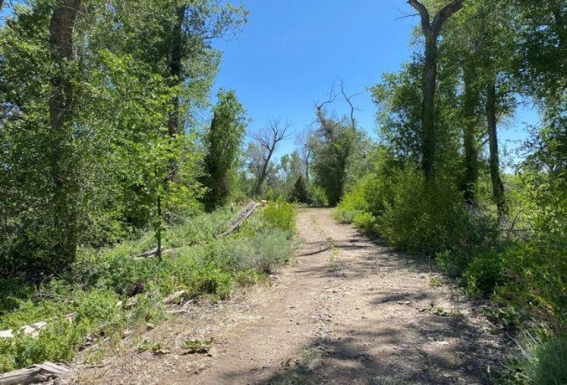 TBD Brazos, Chama, New Mexico 87520-9999, ,Residential Land,For Sale,Brazos,202202425