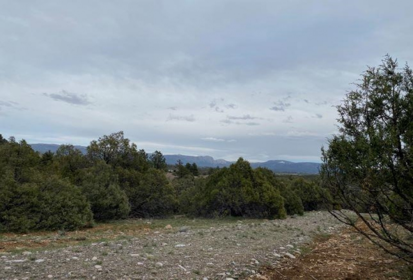 Pond Tract 1 Laguna Vista, Los Ojos, New Mexico 87551-9999, ,Residential Land,For Sale,Laguna Vista,202202429