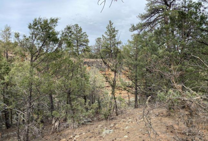 Pond Tr 1A, Pond Tr 4, Juniper Tract, Los Ojos, New Mexico 87551-9999, ,Residential Land,For Sale,Pond Tr 4, Juniper Tract,202202430