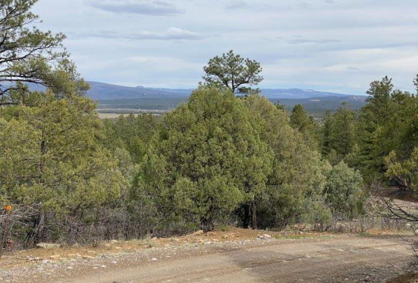 Pond Tr 1A, Pond Tr 4, Juniper Tract, Los Ojos, New Mexico 87551-9999, ,Residential Land,For Sale,Pond Tr 4, Juniper Tract,202202430