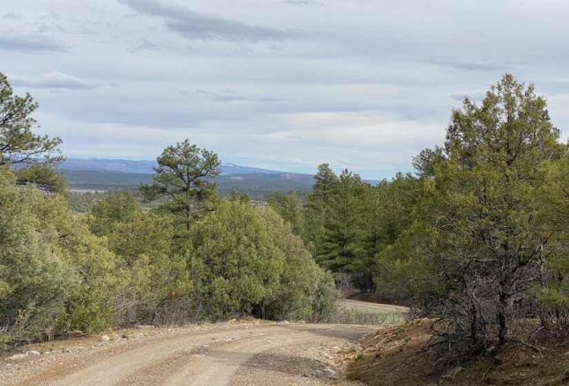 Pond Tr 1A, Pond Tr 4, Juniper Tract, Los Ojos, New Mexico 87551-9999, ,Residential Land,For Sale,Pond Tr 4, Juniper Tract,202202430