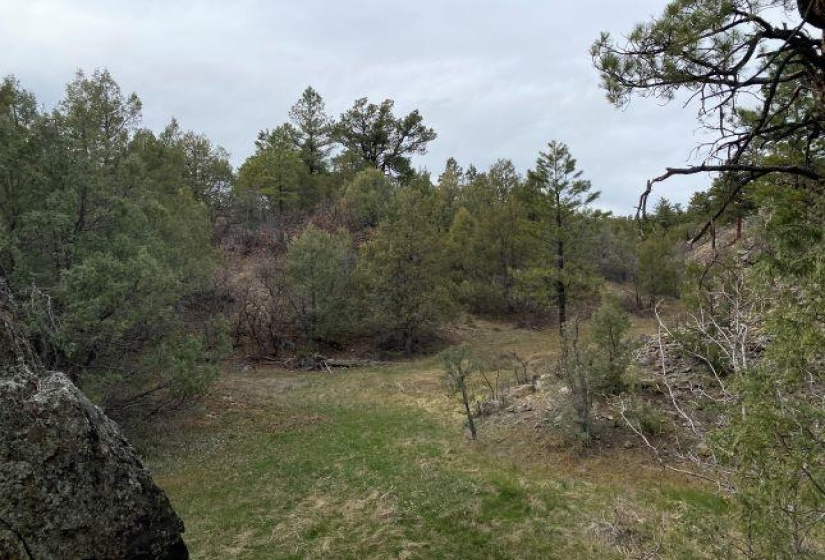 Pond Tr 1A, Pond Tr 4, Juniper Tract, Los Ojos, New Mexico 87551-9999, ,Residential Land,For Sale,Pond Tr 4, Juniper Tract,202202430