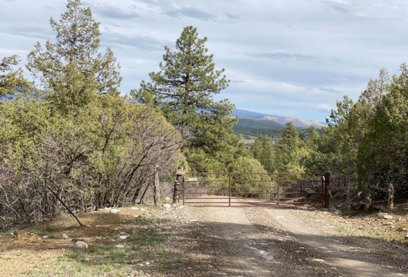 Pond Tr 1A, Pond Tr 4, Juniper Tract, Los Ojos, New Mexico 87551-9999, ,Residential Land,For Sale,Pond Tr 4, Juniper Tract,202202430