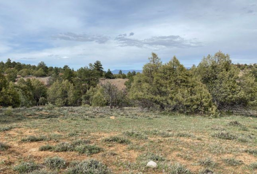 Pond Tr 1A, Pond Tr 4, Juniper Tract, Los Ojos, New Mexico 87551-9999, ,Residential Land,For Sale,Pond Tr 4, Juniper Tract,202202430