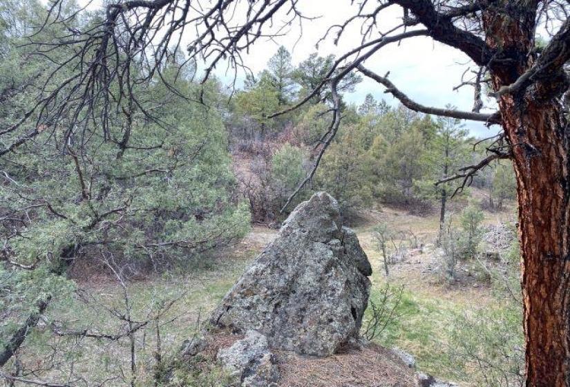 Pond Tr 1A, Pond Tr 4, Juniper Tract, Los Ojos, New Mexico 87551-9999, ,Residential Land,For Sale,Pond Tr 4, Juniper Tract,202202430