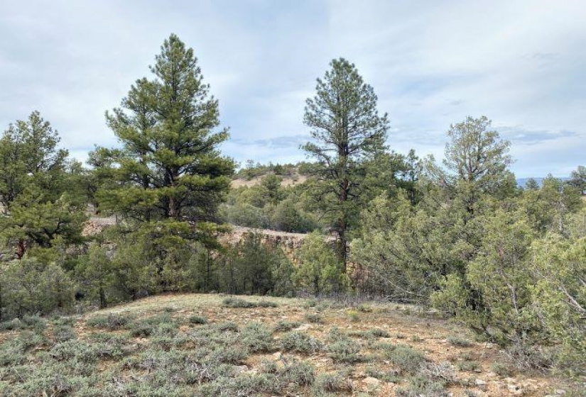 Pond Tr 1A, Pond Tr 4, Juniper Tract, Los Ojos, New Mexico 87551-9999, ,Residential Land,For Sale,Pond Tr 4, Juniper Tract,202202430