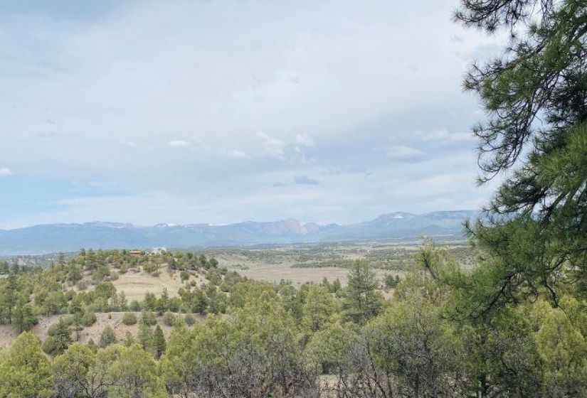 Pond Tr 1A, Pond Tr 4, Juniper Tract, Los Ojos, New Mexico 87551-9999, ,Residential Land,For Sale,Pond Tr 4, Juniper Tract,202202430