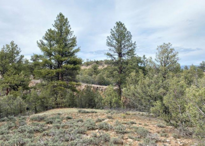 Pond Tract 4 Laguna Vista, Los Ojos, New Mexico 87551, ,Residential Land,For Sale,Laguna Vista,202202433